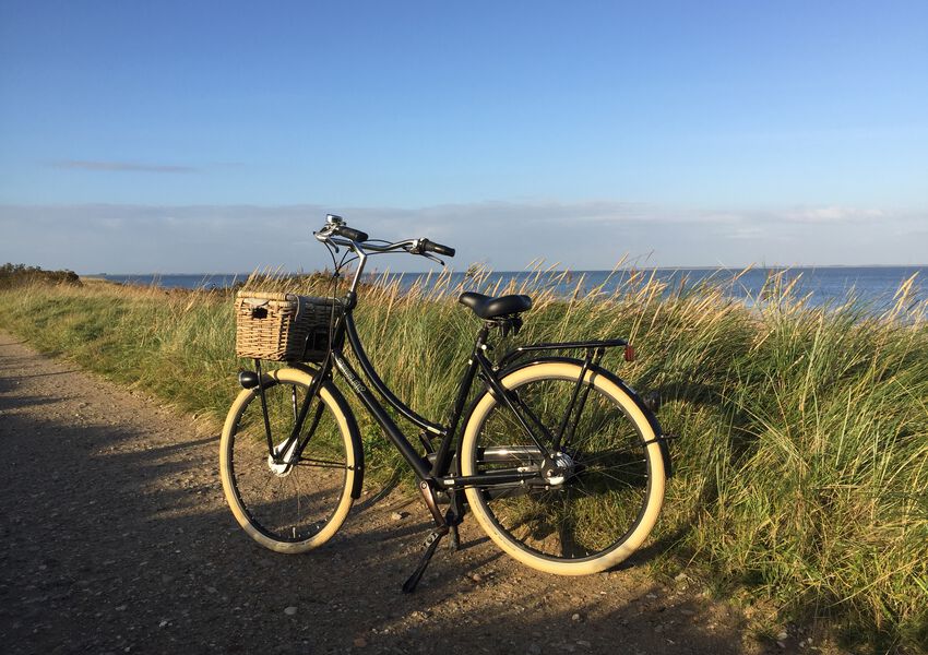 Lille Hues Suite 8 "CARLOTTA"