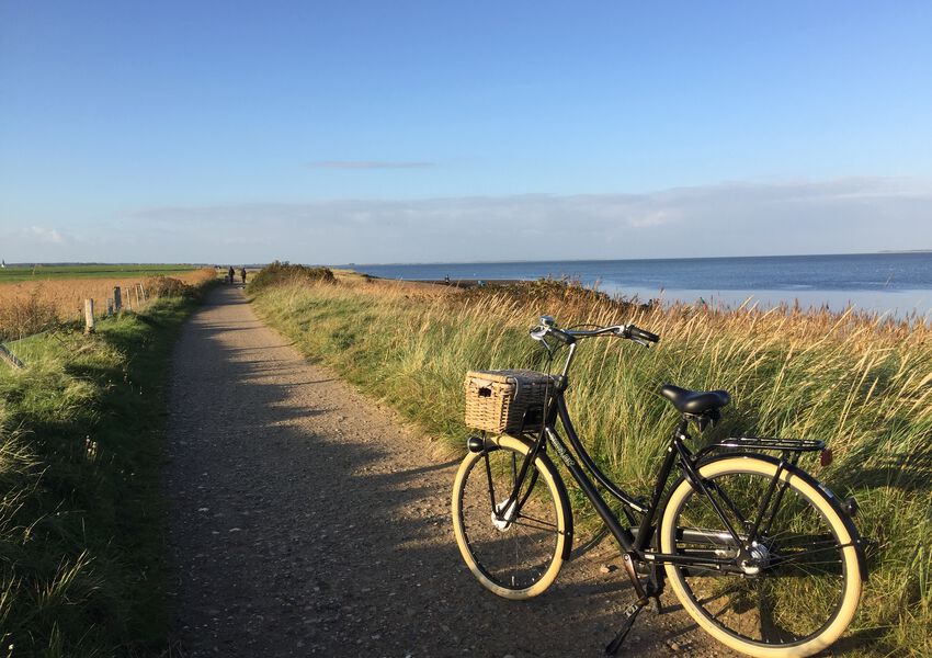 Lille Hues Suite 2 "LENA"