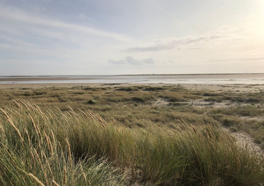 Lille Hues Suite 8 "CARLOTTA"