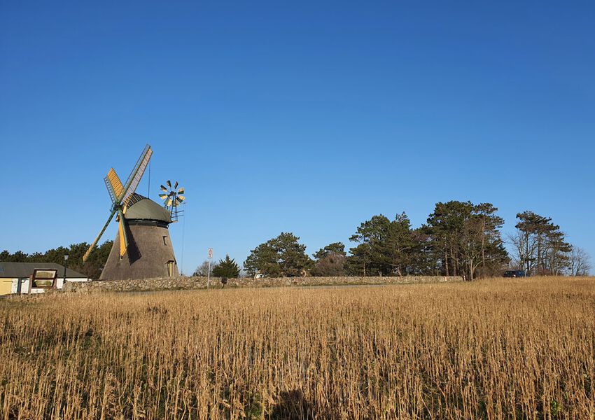 Lille Hues Suite 9 "ELLA"