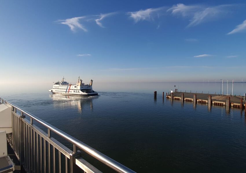 Lille Hues Suite 9 "ELLA"