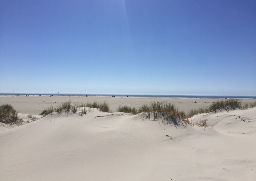 Lille Hues Suite 8 "CARLOTTA"