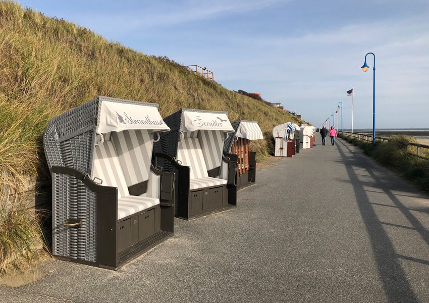 Lille Hues Suite 8 "CARLOTTA"