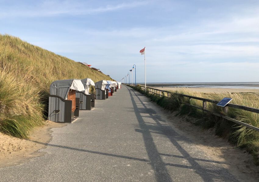 Lille Hues Suite 8 "CARLOTTA"