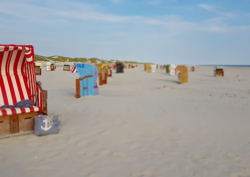 Lille Hues Suite 8 "CARLOTTA"